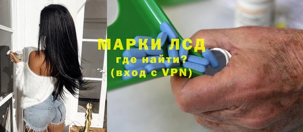 СК Строитель