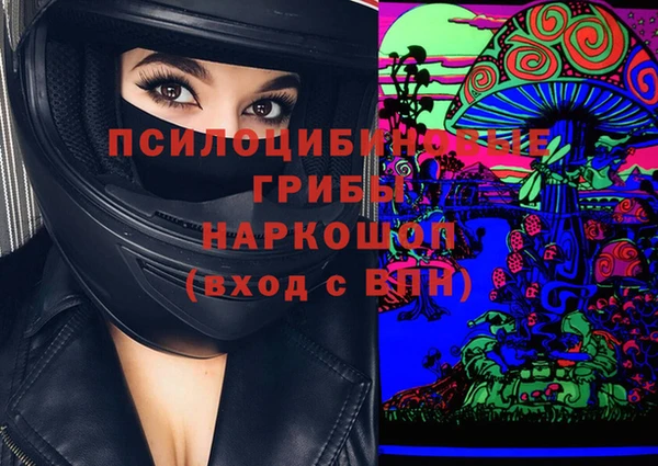 СК Строитель