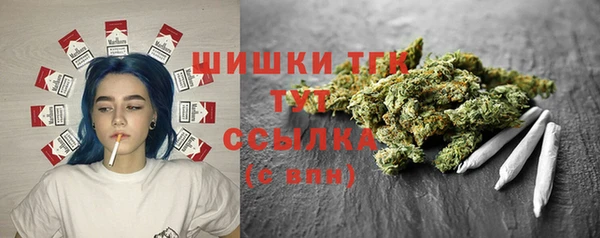 СК Строитель