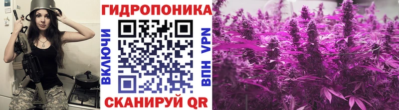 Канабис сатива Нижневартовск